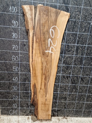 English walnut slab - slab, live