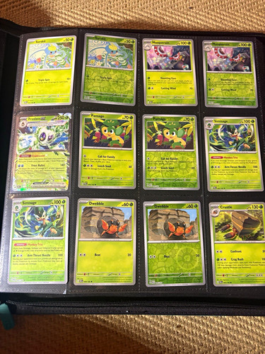 Pokémon tcg paradox - tcg, rift