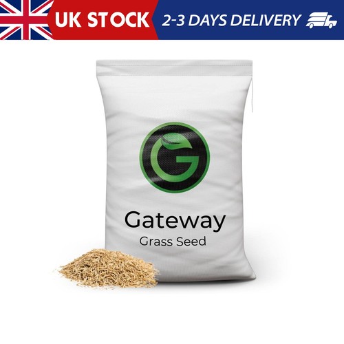 Horse paddock grass seeds - horse,