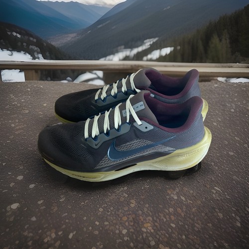 Nike pegasus premium men - pegasus, 41