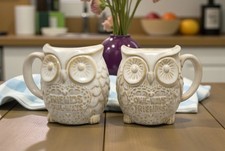 Next Owl Friends Mugs Set of 2 Ceramic 350ml ‘Friends Owl-Ways’ - VGC