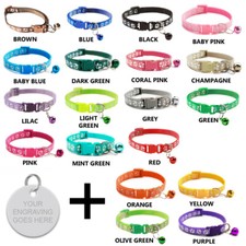 Cat Collar & Personalised ID