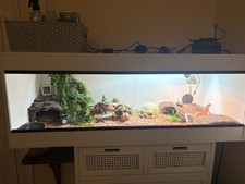 White Vivarium Reptile 4x18x18