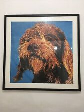 Dan Baldwin Limited Edition