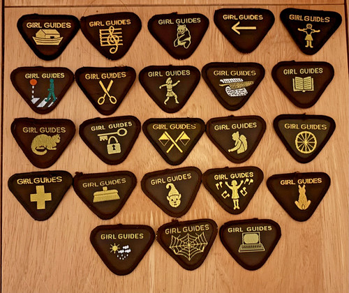 Girl guide brownie - girl, interest