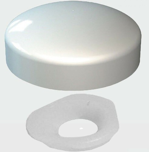 White two piece gloss dome - piece,