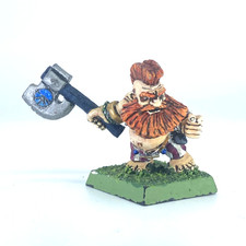 Dwarf Troll Slayer - Citadel