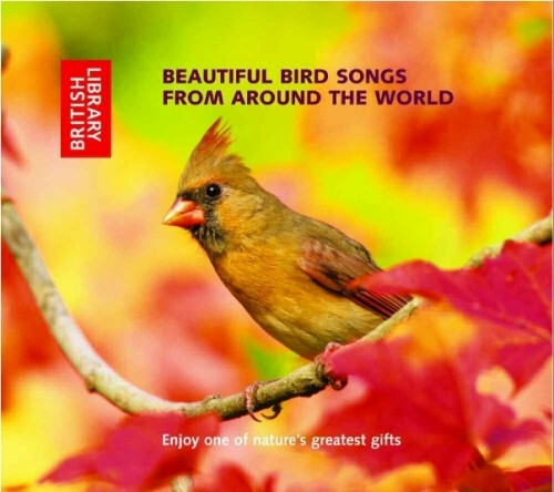 Various beautiful bird - various,