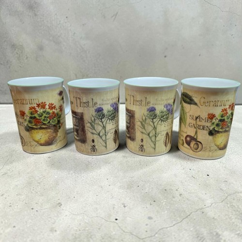 Set rose england - set,