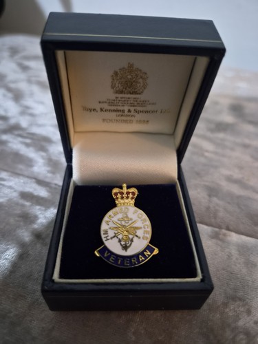 Armed forces veteran lapel - veteran,