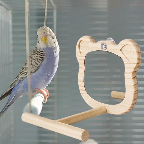 Wood bird mirror parrot - mirror,