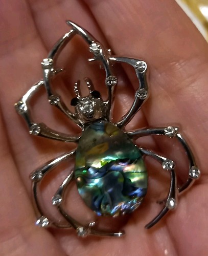 Abalone shell spider brooch - abalone,