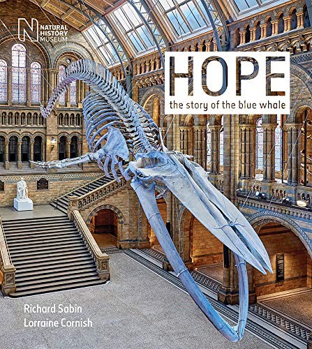 Hope the story blue - hope:,