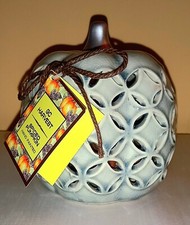 GC Harvest Spiced Crackled