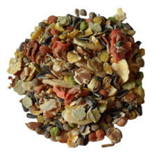 Premium Hamster Dwarf Hamster