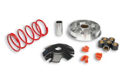 Malossi variator to - variator, fit