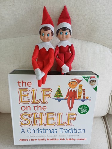 The elf shelf - elf, on