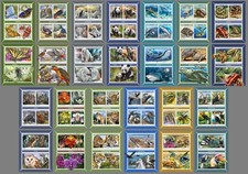 NATURE fauna orchids