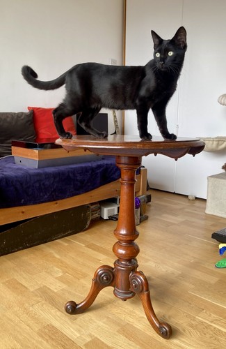 Antique wine table - wine,