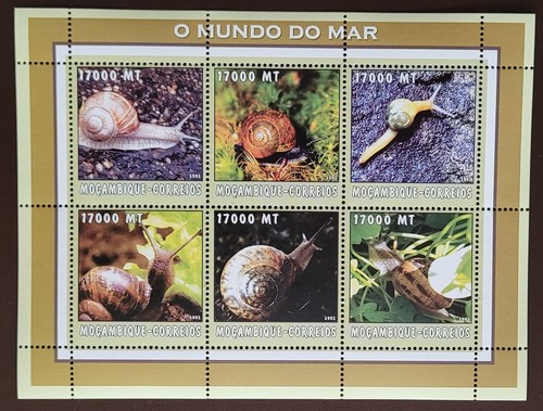 Mozambique 2002 marine life - 2002, /