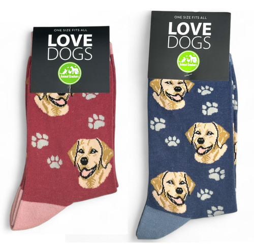 Golden labrador socks mens - labrador,