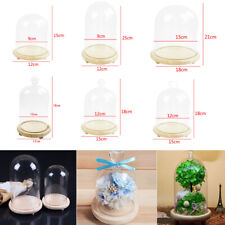 Large Glass Dome Display Bell