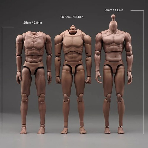 Male muscle body - male,