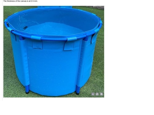 Koi goldfish holding pool tank - koi,
