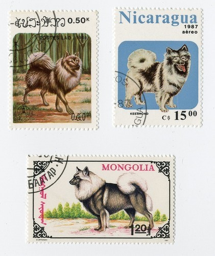 Keeshond collection vintage - keeshond,