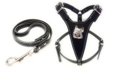 Black Leather Dog Harness with