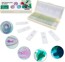 50 Prepared Microscope Slide