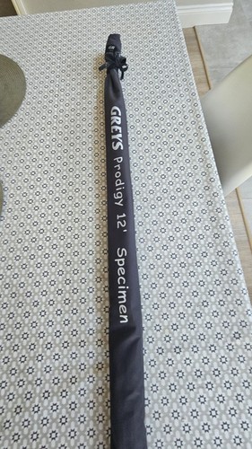 Greys prodigy specimen - x, 3