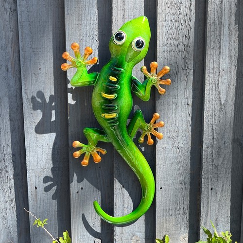 Gecko lizard wall - lizard,