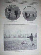 1901 COURSING Greyhound racing Waterloo Cup ::: magazine photos 4O