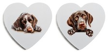 German Shorthaired Pointer