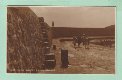 Dorset postcard grannys - dorset,