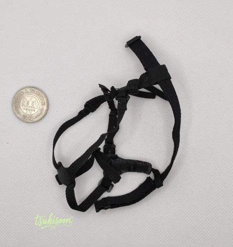 Rappelling belt accessories - belt,