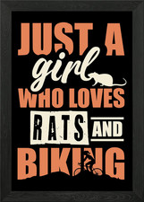 Rat girl bicycle bike framed - rat,