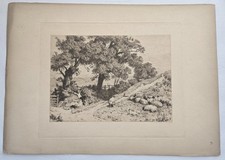 1885 Antique Etching-Sheep