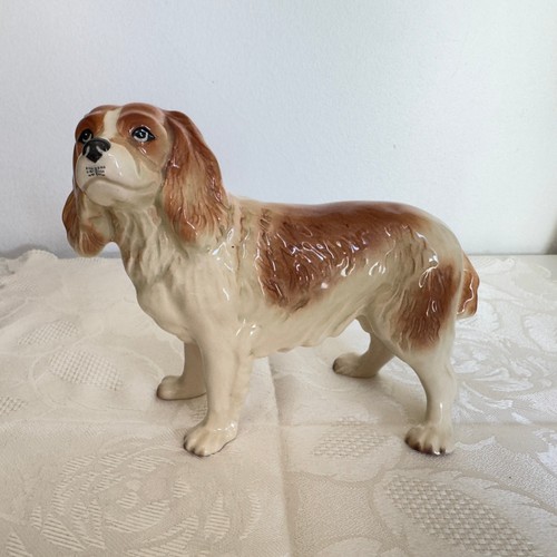 Vintage cavalier king - vintage,