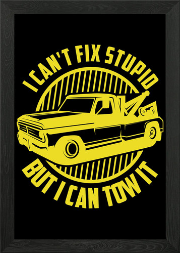 Tow truck driver - driver, wrecker
