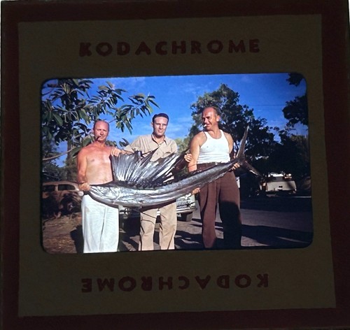 1945 men freshly caught - men,