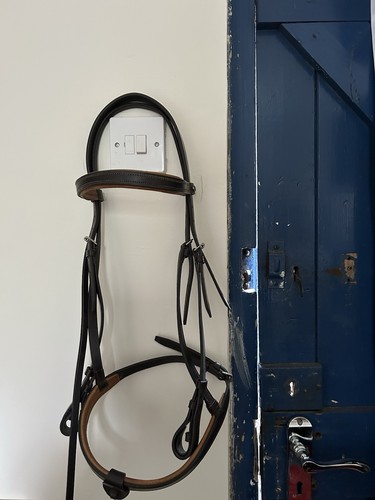 Chetak brown bridle - brown, tan