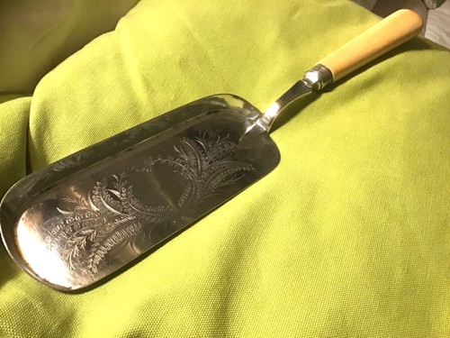 Silver plated crumb tray?