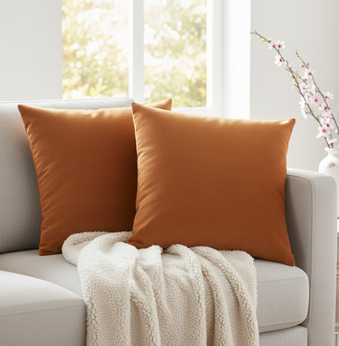 Luxury velvet cushion - luxury, cover