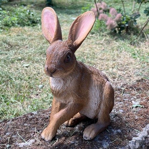 Garden ornaments and statues - and,