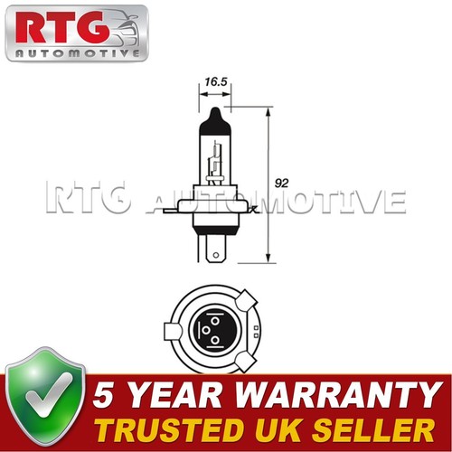 Rtg front bulbs manual fits - rtg,