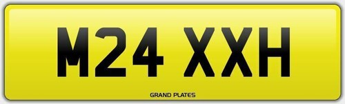 Max maxy maxes maxxy number - h,