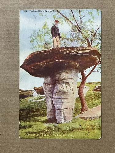 Postcard carneiro kansas toad - carneiro,