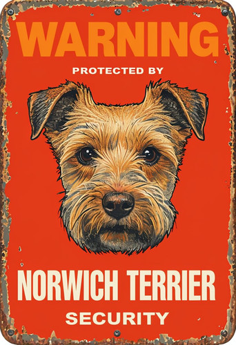 Warning norwich terrier - norwich,